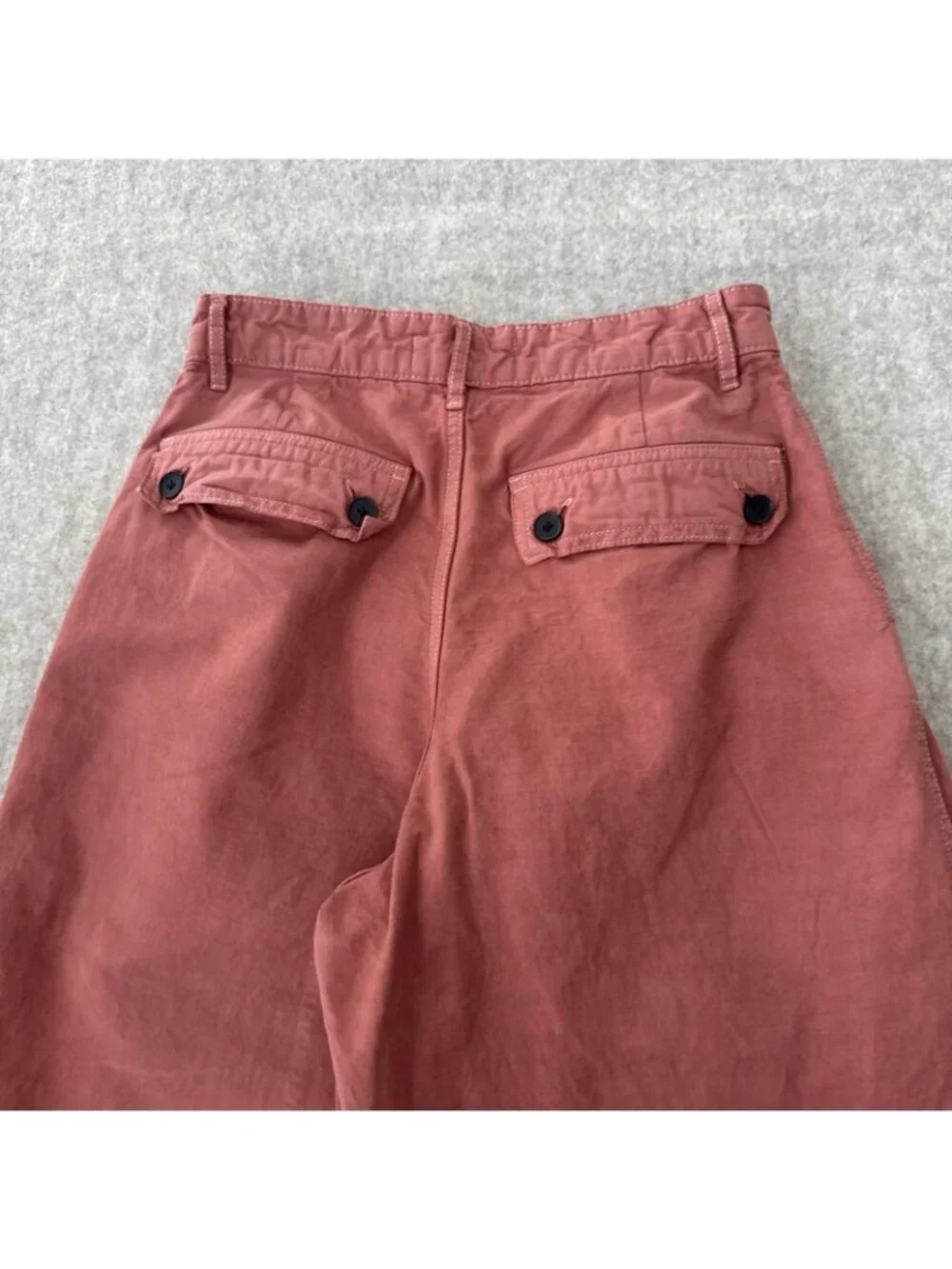 Everlane Linen Blend Pants Womens 2 Garment Dyed Pleated Wide Leg Ankle Length